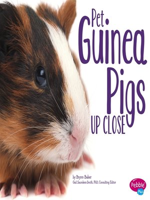 cover image of Pet Guinea Pigs Up Close